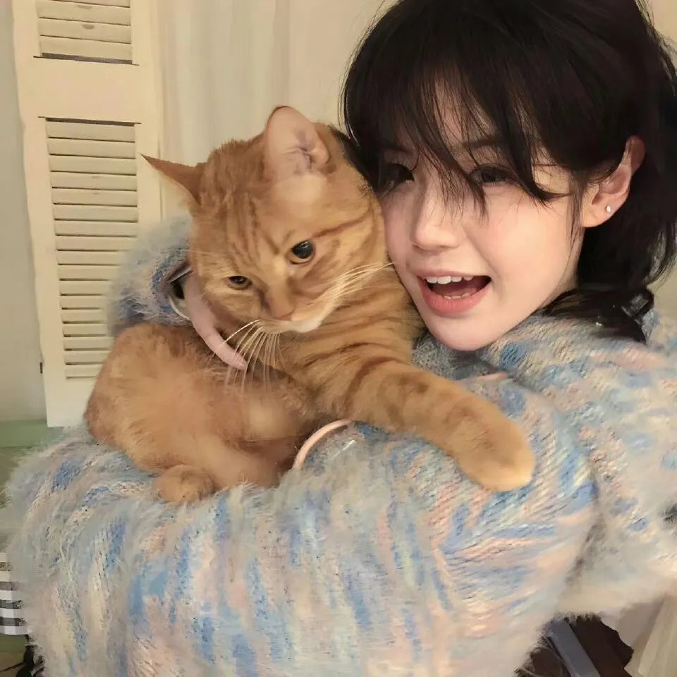 罗蕾莱